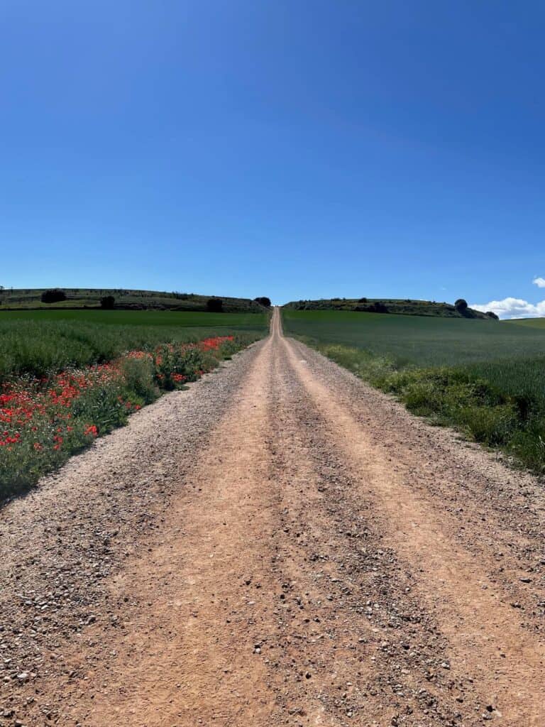 Camino