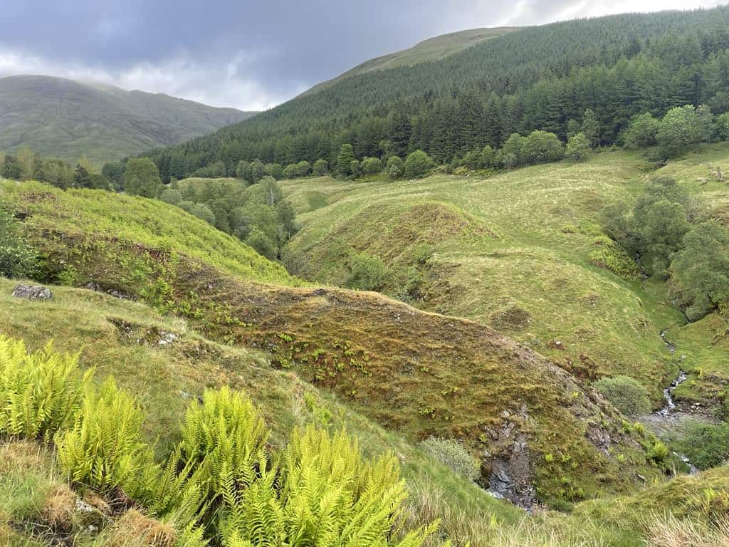 Fifty Shades of Green