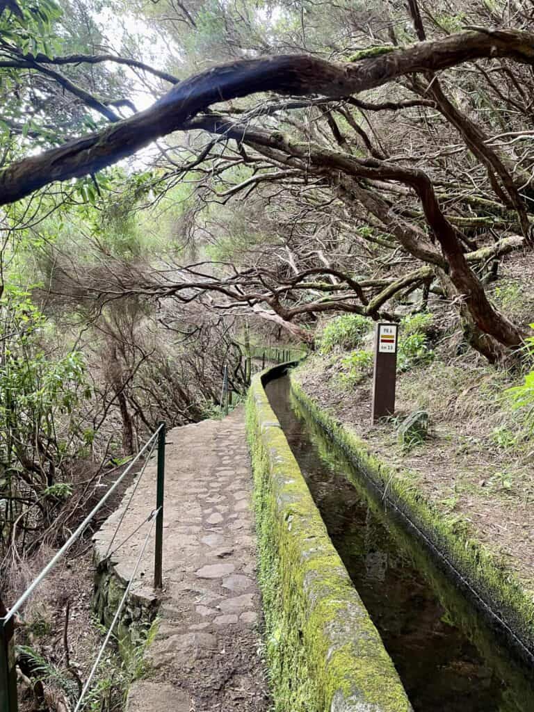 Rabaçal – levada do Risco a levada das 25 Fontes