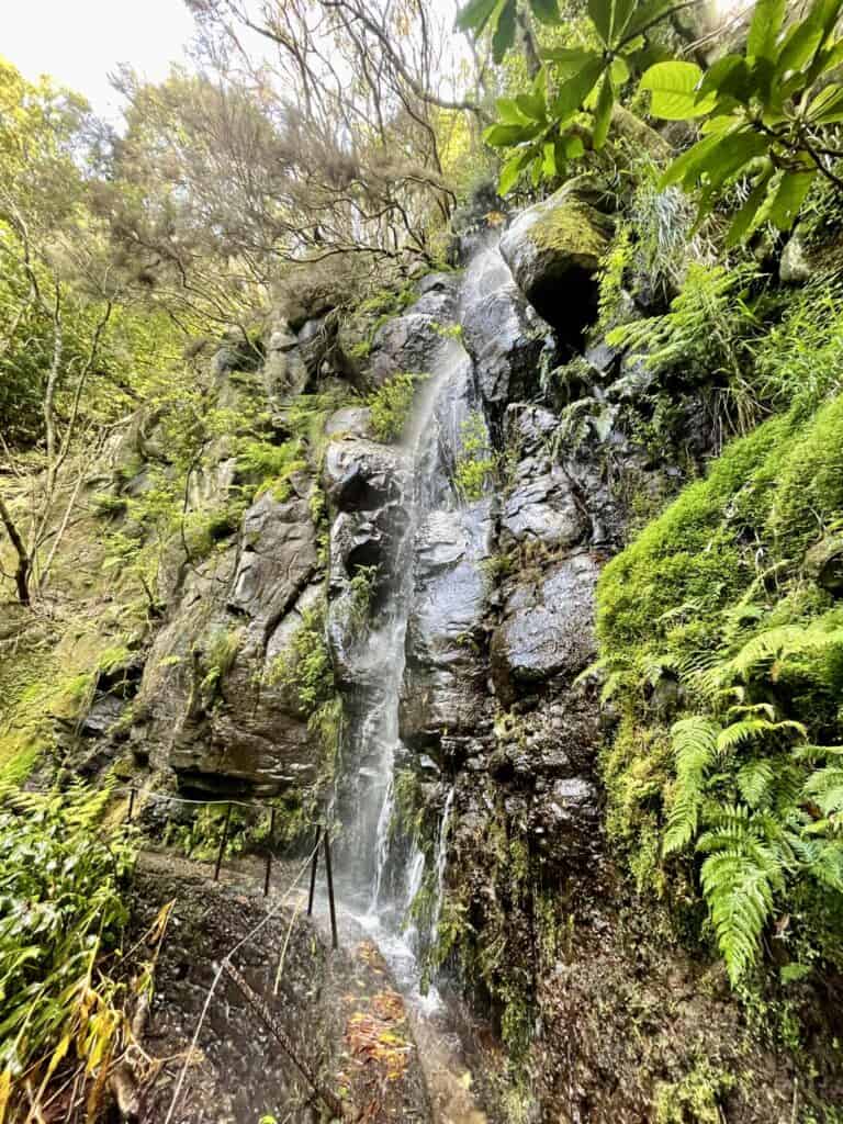 Levada do Moinho, Madeira